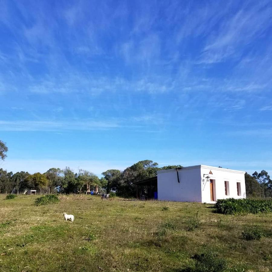 Hostal Rural Cerca Del Cabo ラ・ペドレラ エクステリア 写真